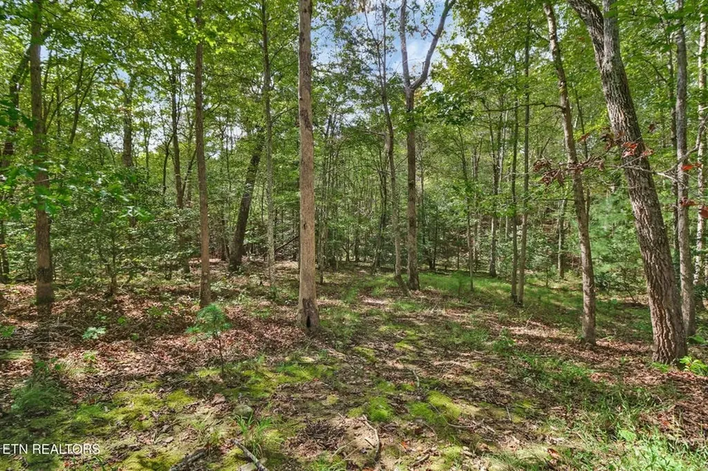 224 Victoria Circle Jamestown TN 38556-5178