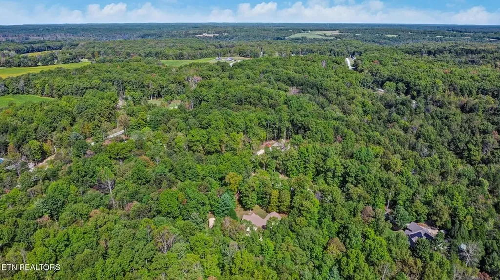 224 Victoria Circle Jamestown TN 38556-5178