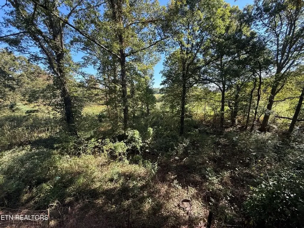 1089 Bicknell Road Clarkrange TN 38553