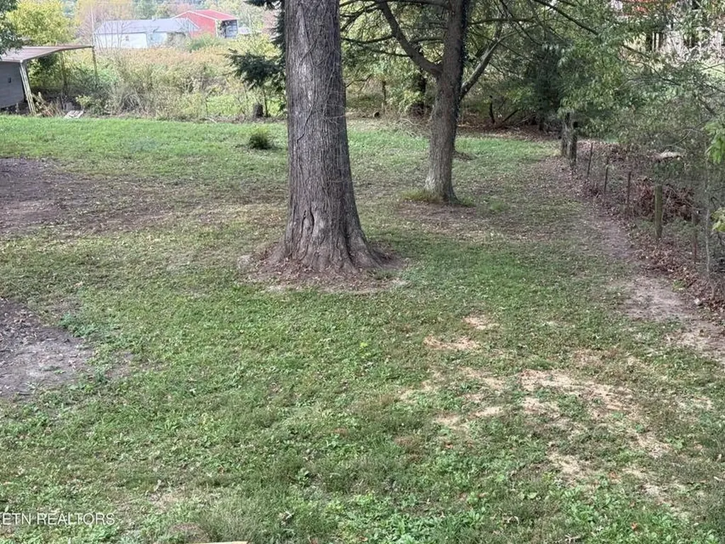 1089 Bicknell Road Clarkrange TN 38553