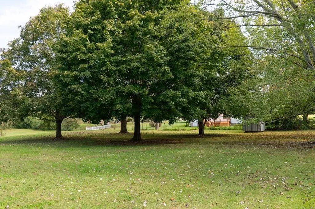 2408 Magnolia Cookeville TN 38506