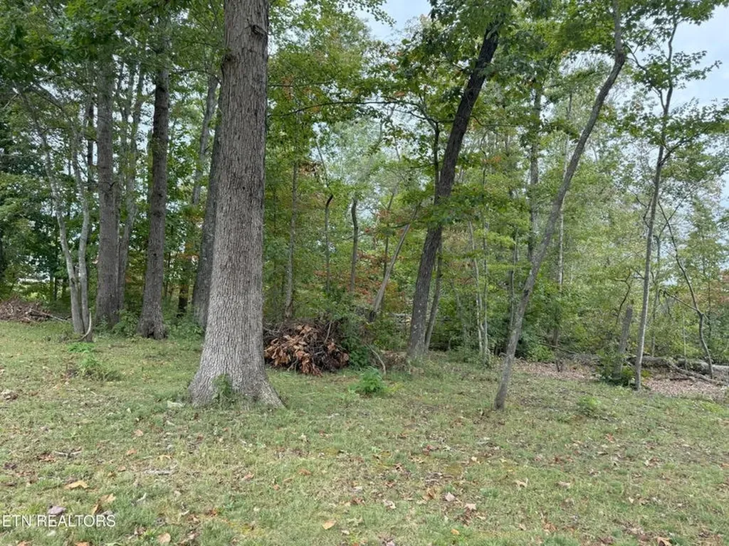 6105 S York Highway Clarkrange TN 38553-5147