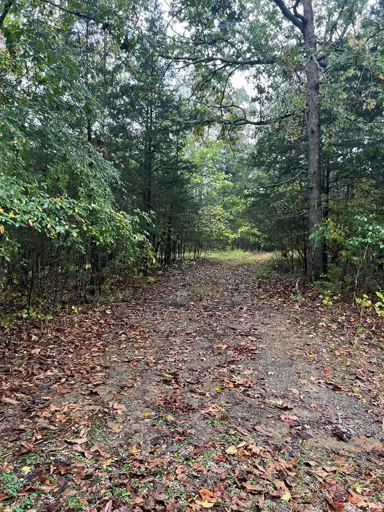 00 Old Highway 42 S Monroe TN 38573