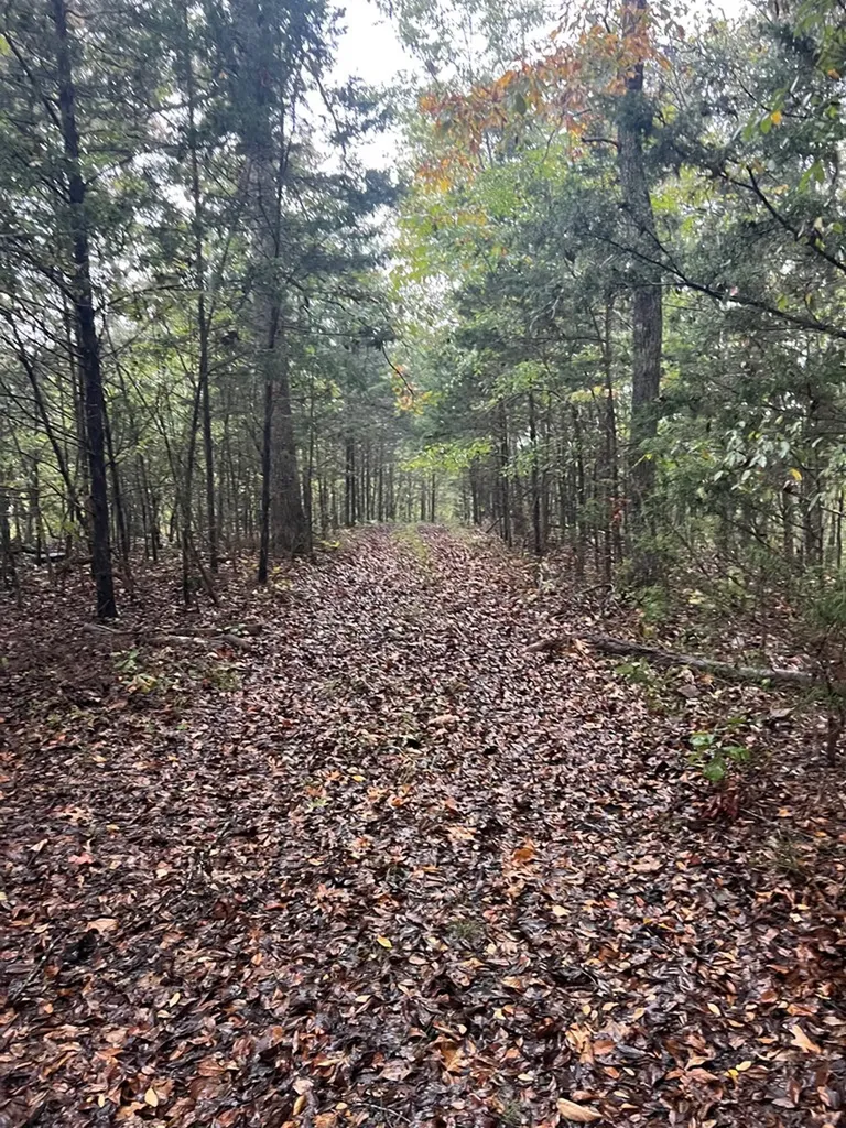 00 Old Highway 42 S Monroe TN 38573