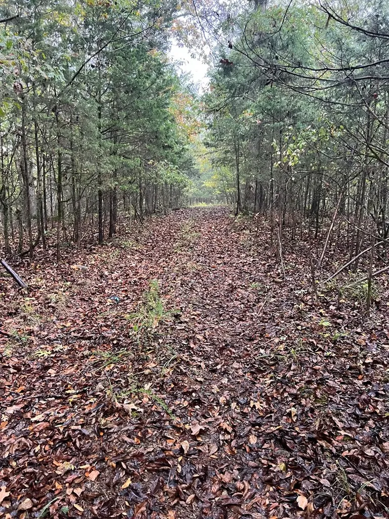 00 Old Highway 42 S Monroe TN 38573