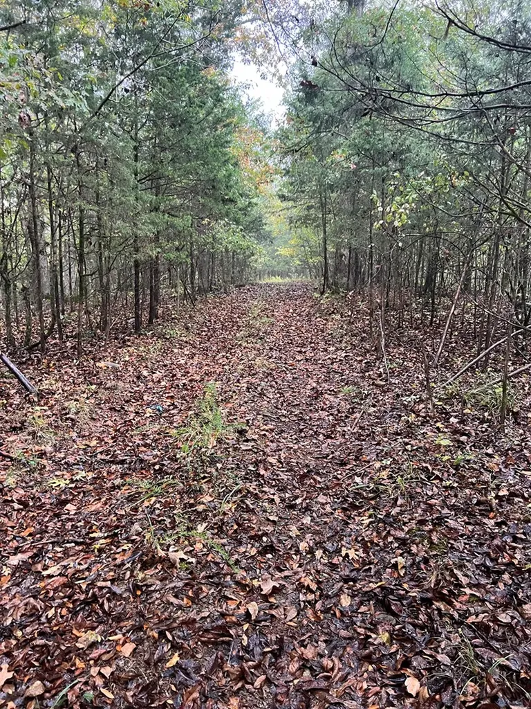 00 Old Highway 42 S Monroe TN 38573