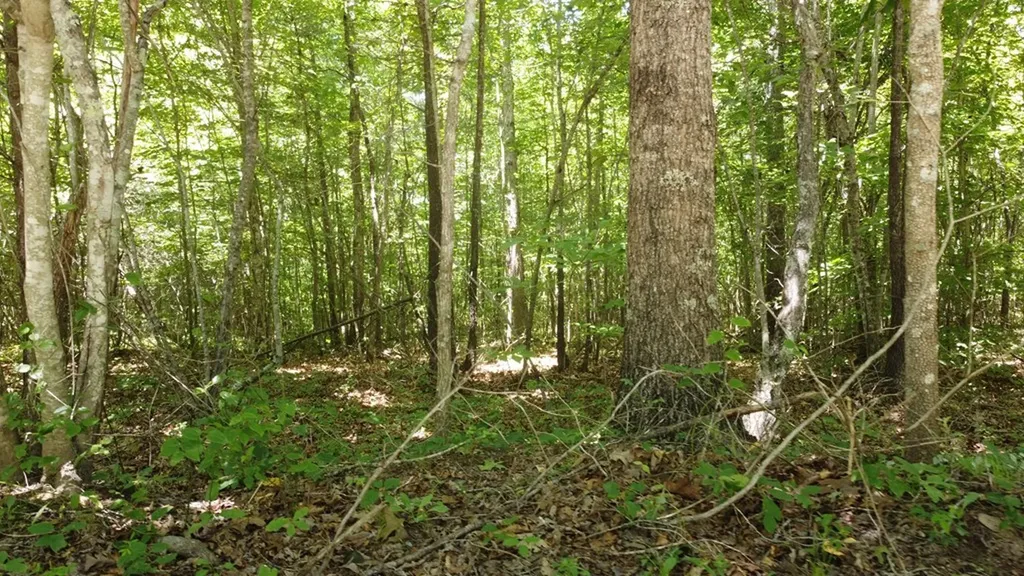Lot 72 Camp Creek Road Spencer TN 38585
