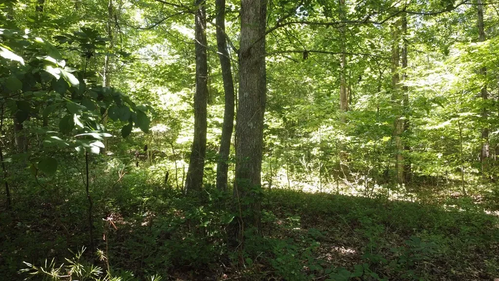 Lot 72 Camp Creek Road Spencer TN 38585