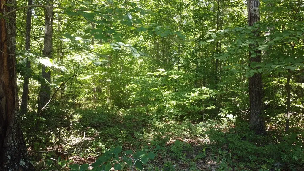 Lot 72 Camp Creek Road Spencer TN 38585