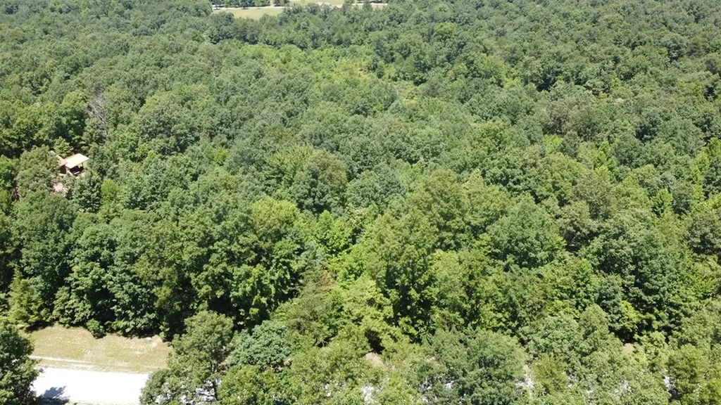 Lot 72 Camp Creek Road Spencer TN 38585