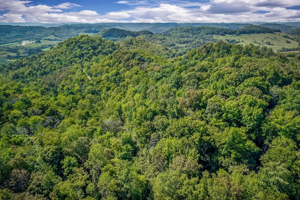 43 Moss Bend Lane Lancaster TN 38569