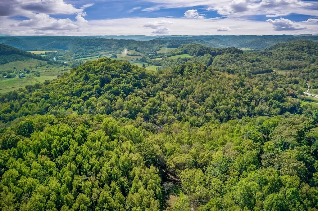43 Moss Bend Lane Lancaster TN 38569