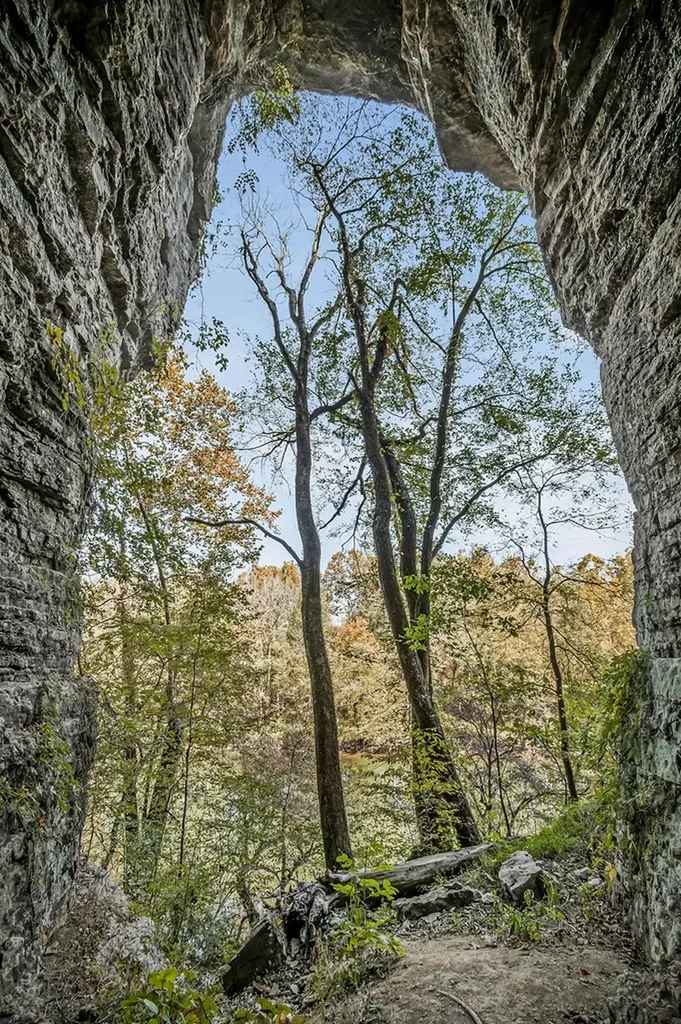 43 Moss Bend Lane Lancaster TN 38569