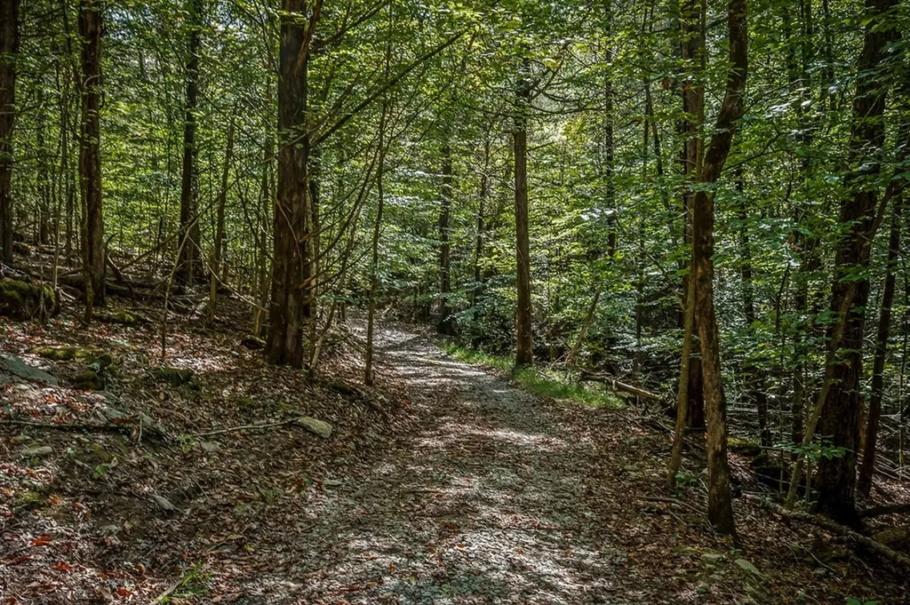 43 Moss Bend Lane Lancaster TN 38569