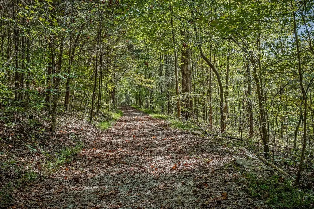 43 Moss Bend Lane Lancaster TN 38569