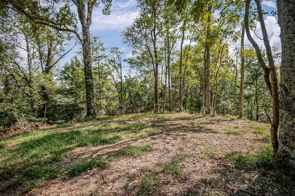 43 Moss Bend Lane Lancaster TN 38569