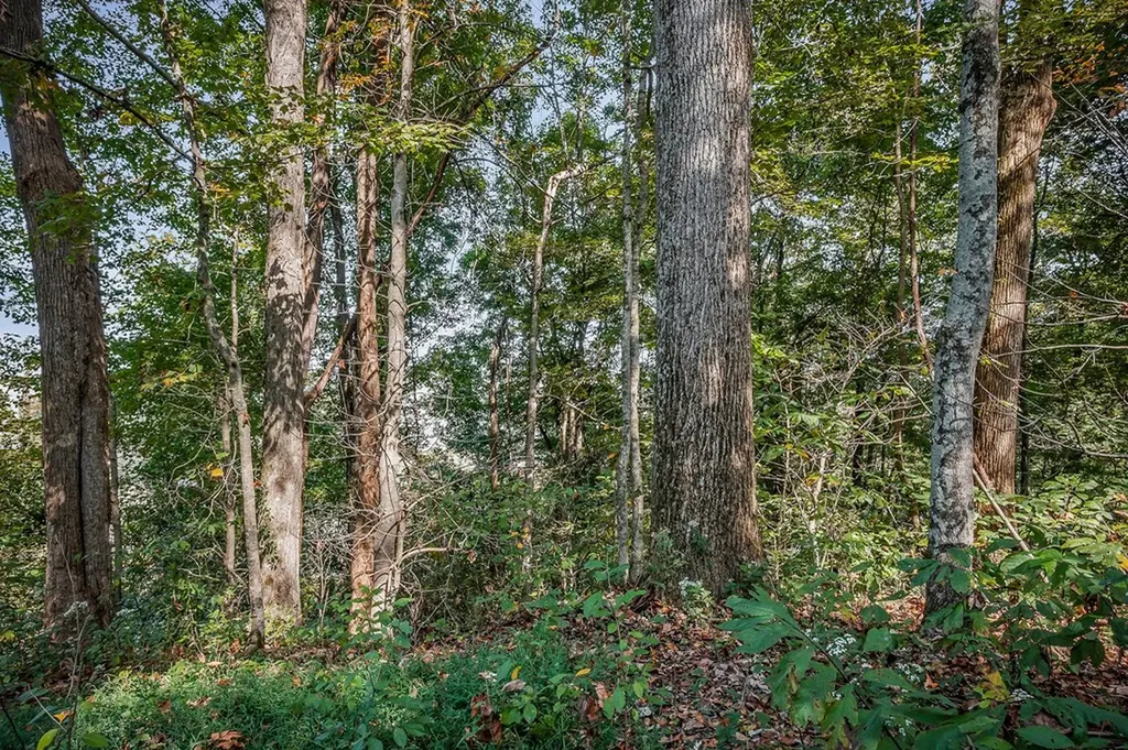 43 Moss Bend Lane Lancaster TN 38569