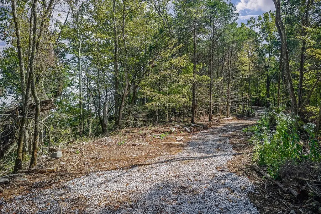 43 Moss Bend Lane Lancaster TN 38569
