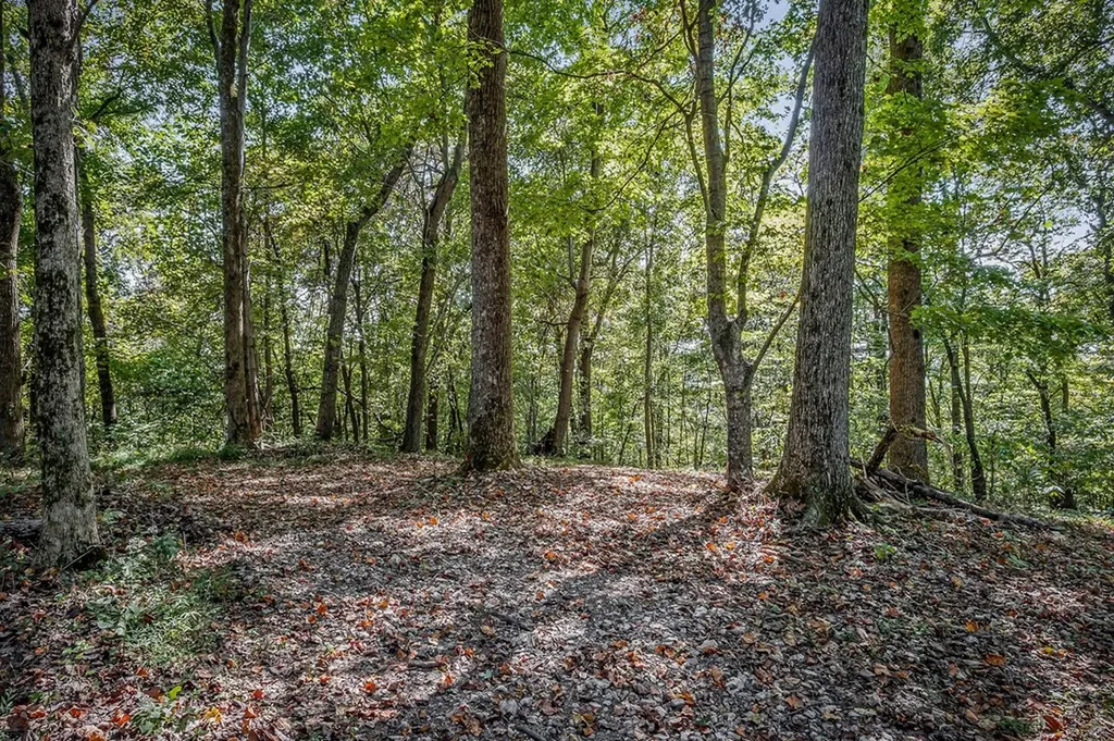 43 Moss Bend Lane Lancaster TN 38569
