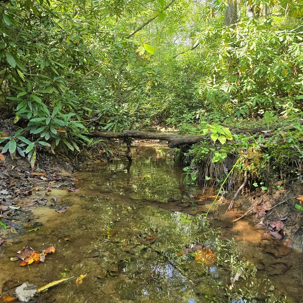 499 Billy Ridge Road Jamestown TN 38556