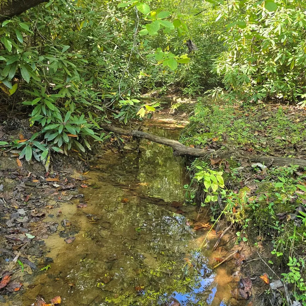 499 Billy Ridge Road Jamestown TN 38556