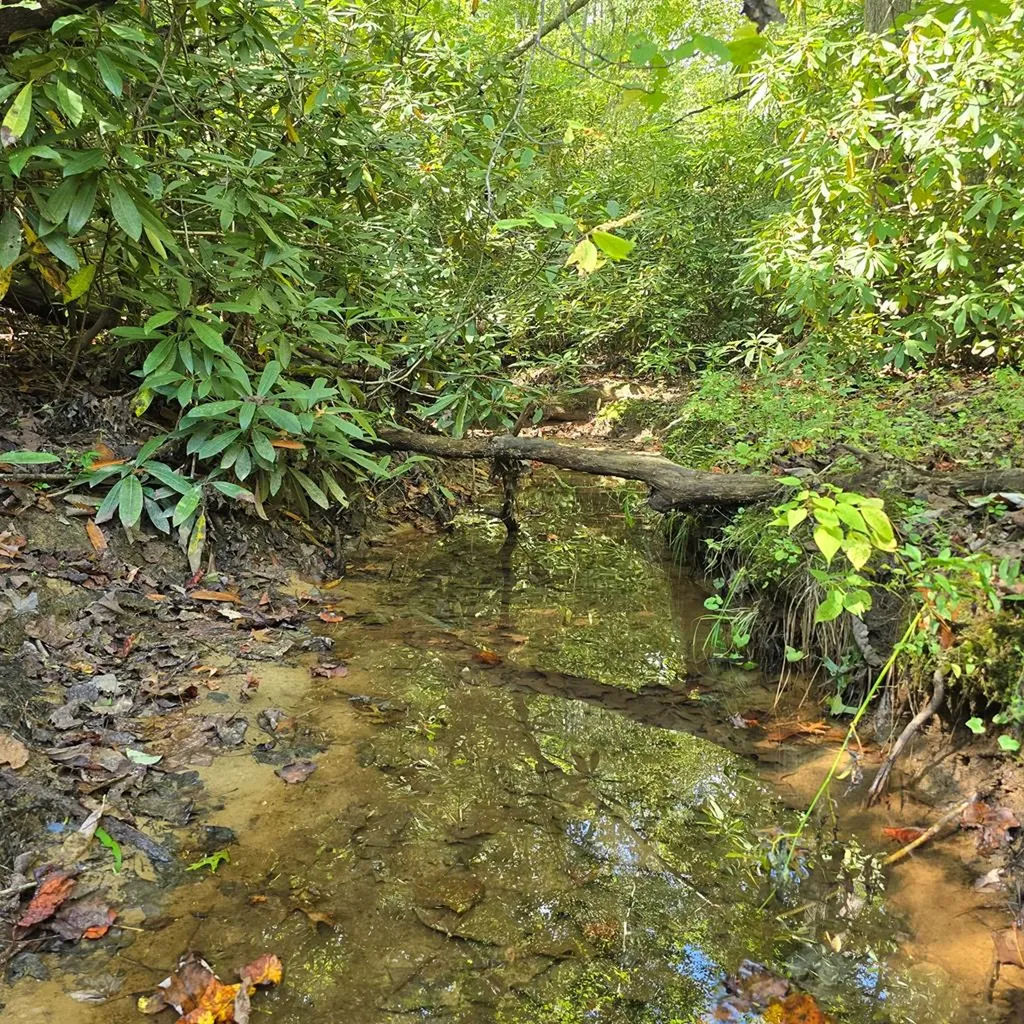 499 Billy Ridge Road Jamestown TN 38556