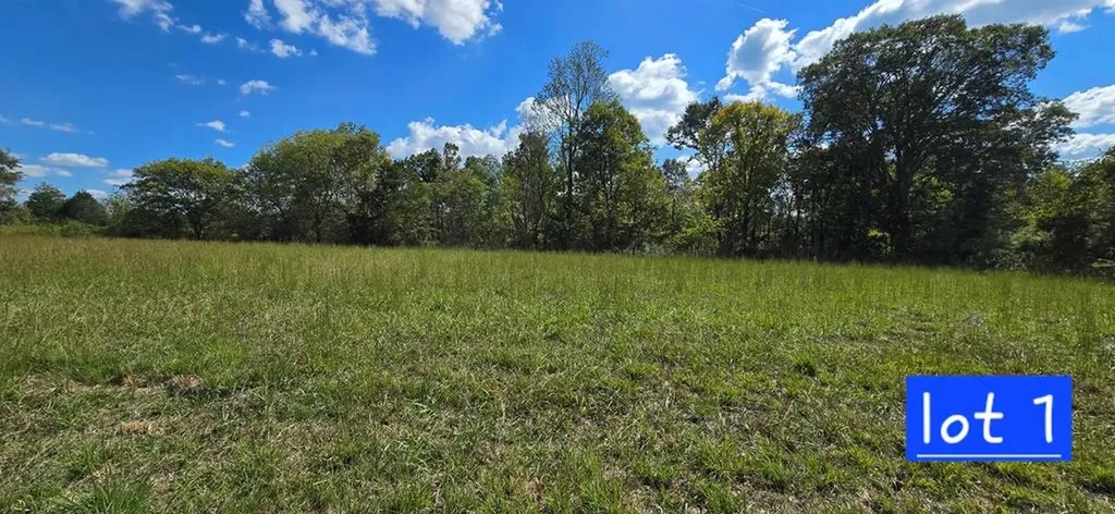Lot 1 Austin Bottom Road Baxter TN 38544