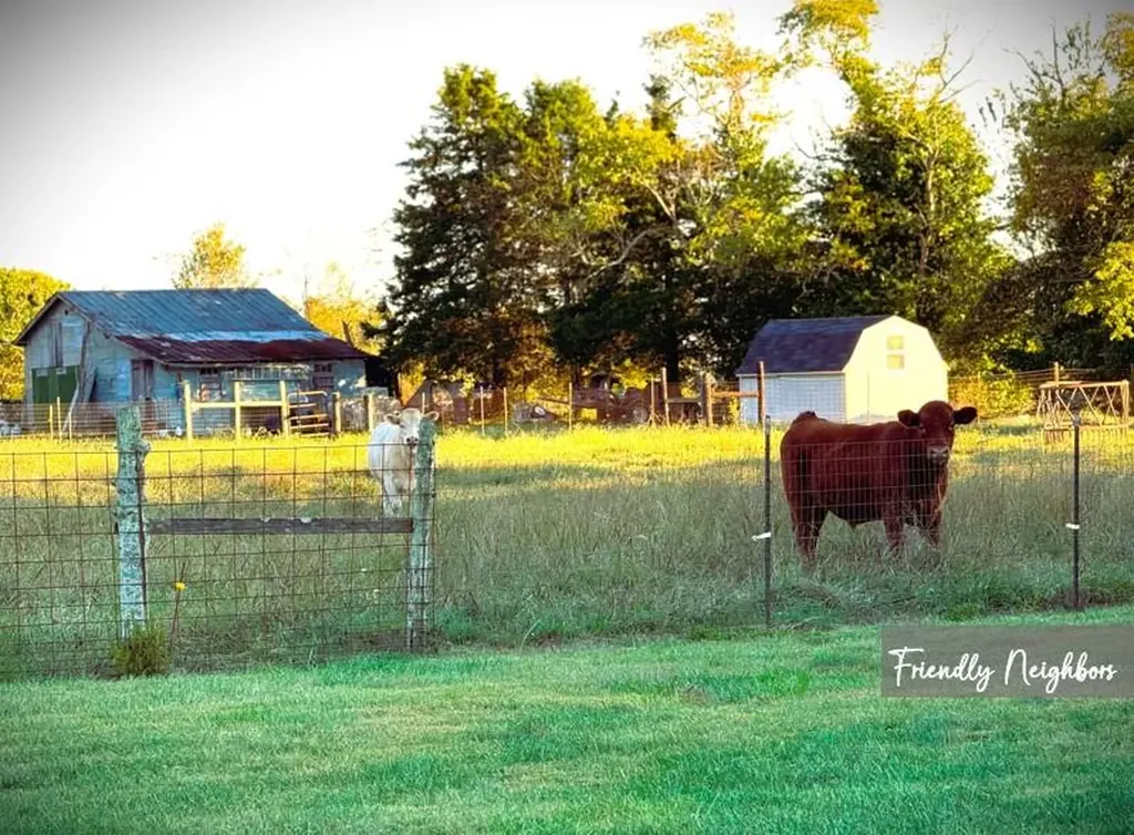 165 Walnut Circle Livingston TN 38570