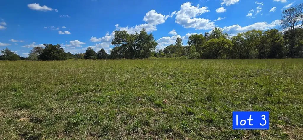Lot 3 Austin Bottom Road Baxter TN 38544