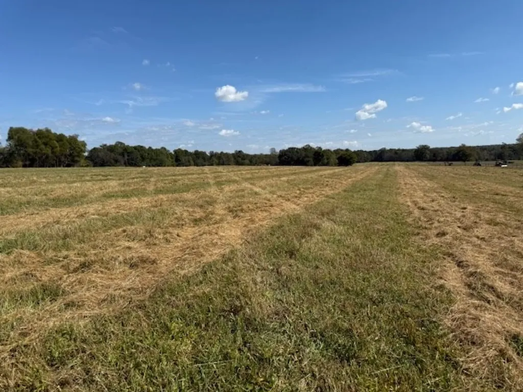 549 Smith Rd_lot 3 Crossville TN 38571