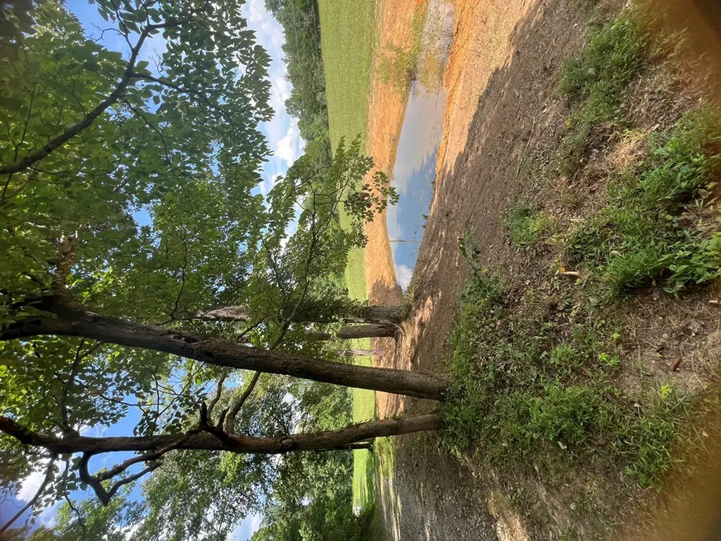 99 Means Lane Byrdstown TN 38549