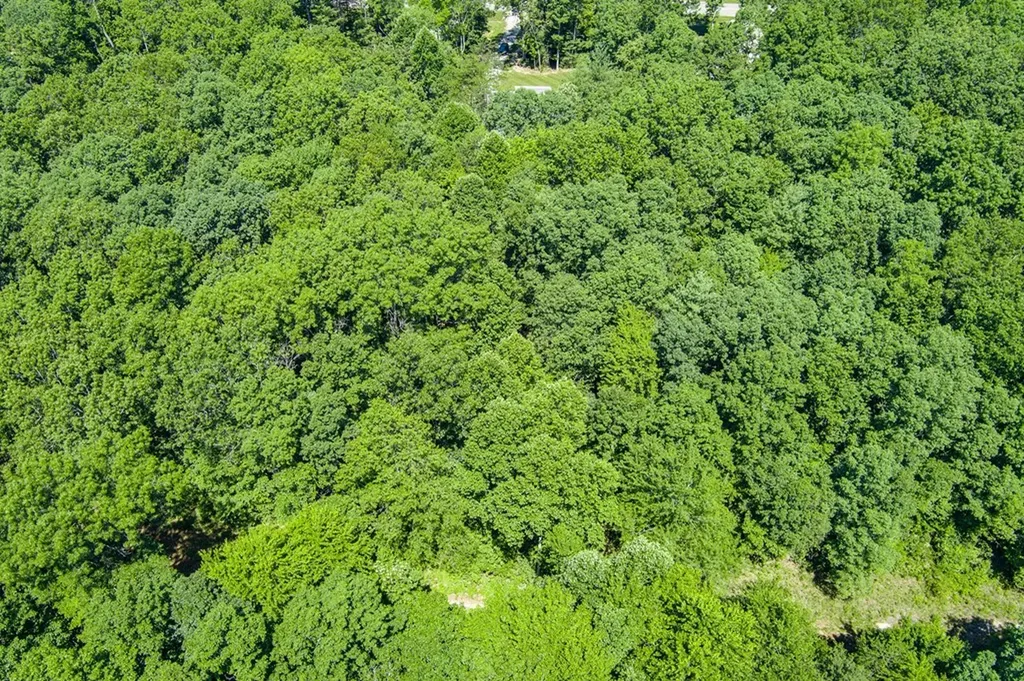 2037 Allardt Tinch Road Jamestown TN 38556