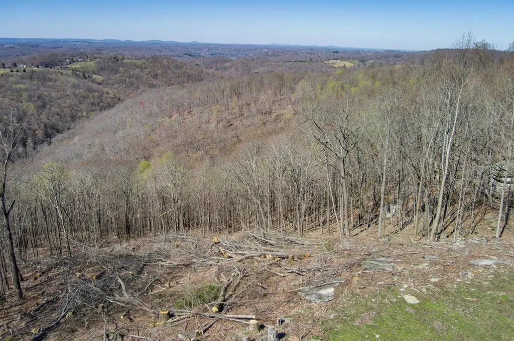 38.8 Ac. Anderson Road Byrdstown TN 37067