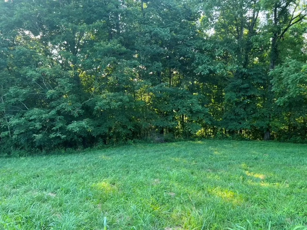 Tract 1 Amonette Circle Byrdstown TN 38549