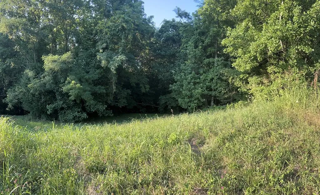 Tract 2 Amonett Circle Byrdstown TN 38549