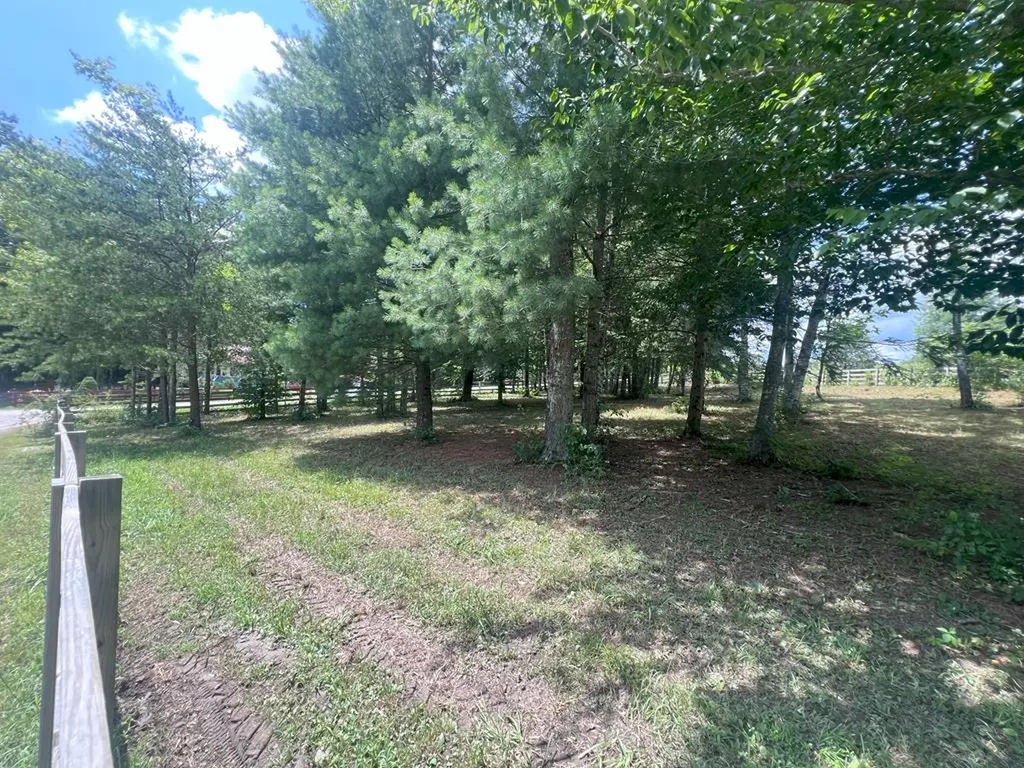 213 Indian Rock Trail Jamestown TN 38556