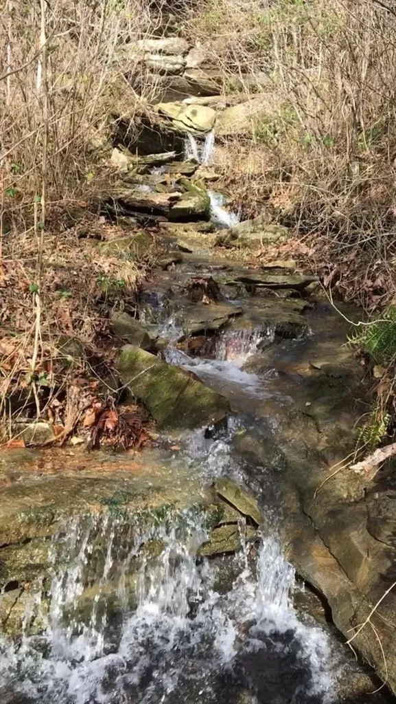 2642 Hilham Highway Livingston TN 38568