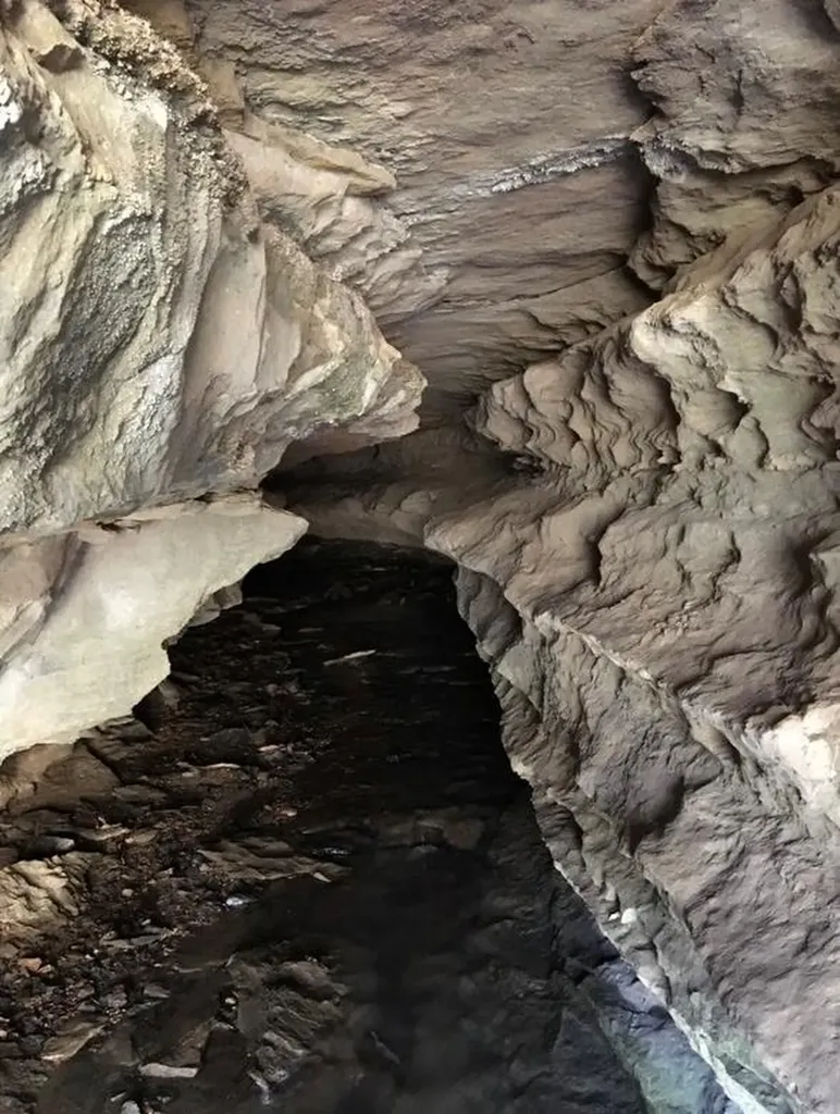 2642 Hilham Highway Livingston TN 38568