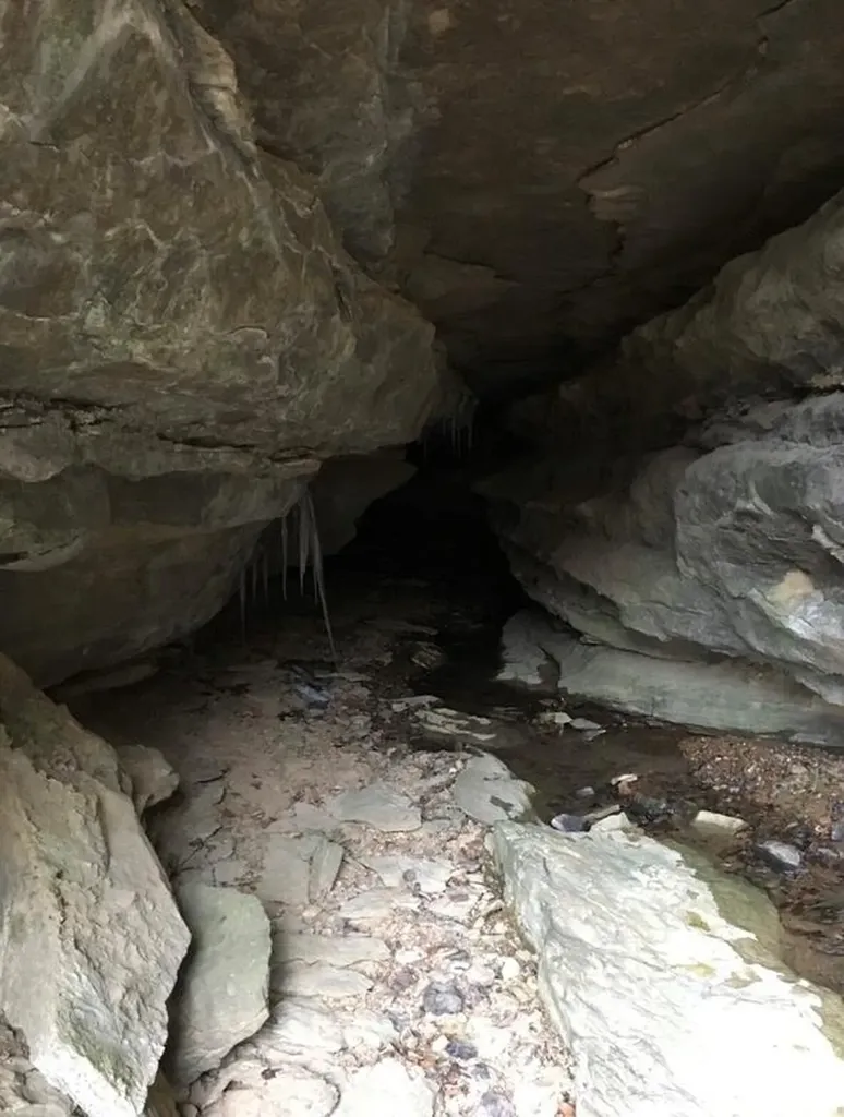 2642 Hilham Highway Livingston TN 38568