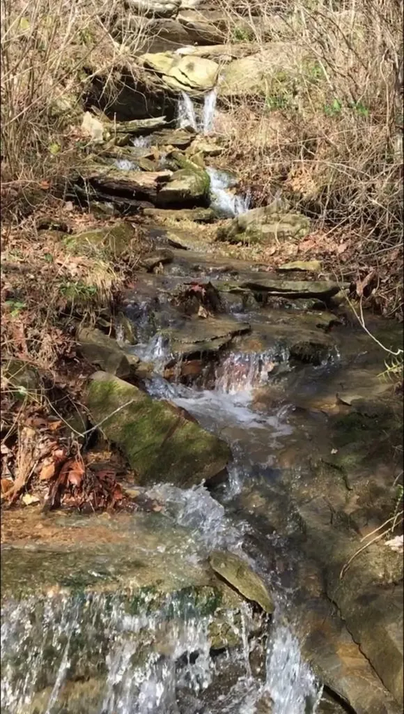 2642 Hilham Highway Livingston TN 38568