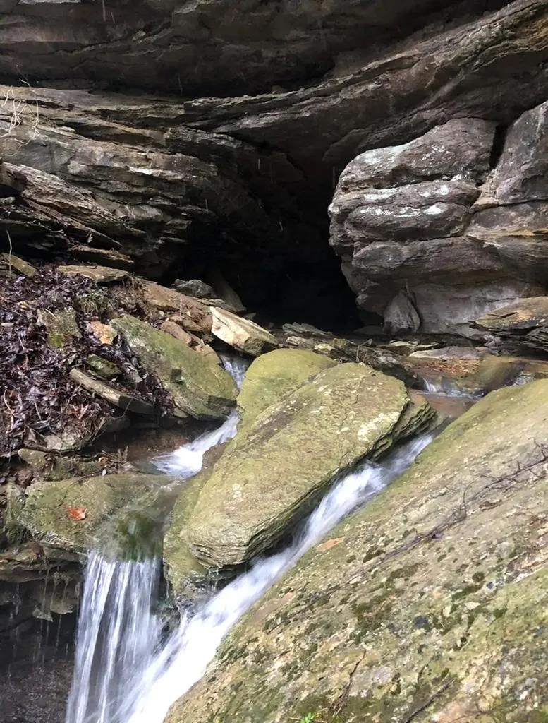 2642 Hilham Highway Livingston TN 38568