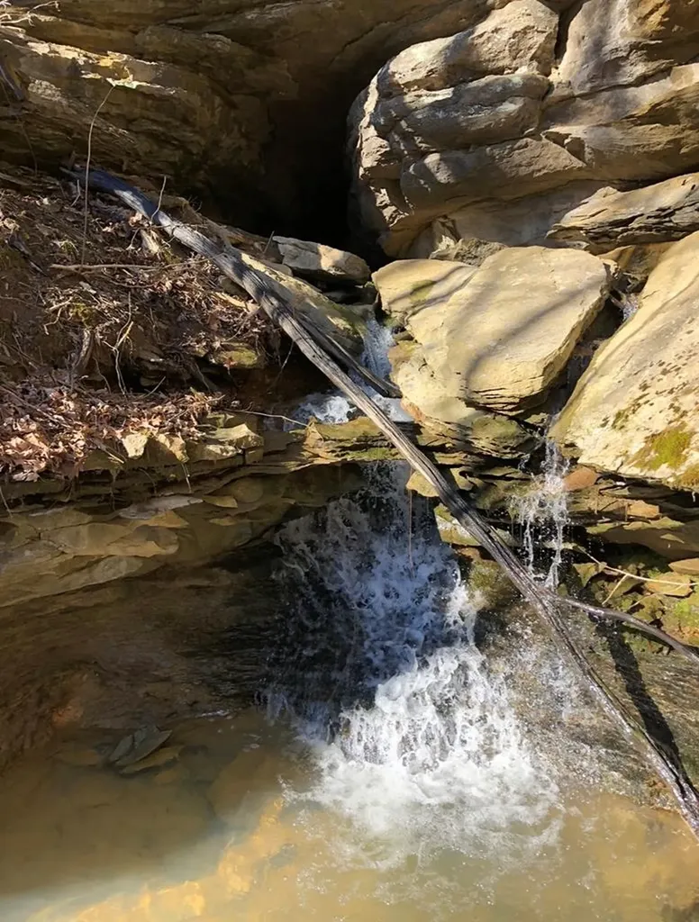 2642 Hilham Highway Livingston TN 38568