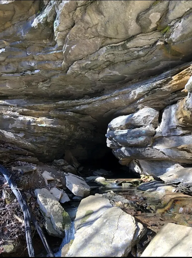 2642 Hilham Highway Livingston TN 38568