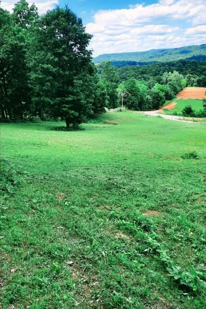 906 Oak Hill Road Rickman TN 38580