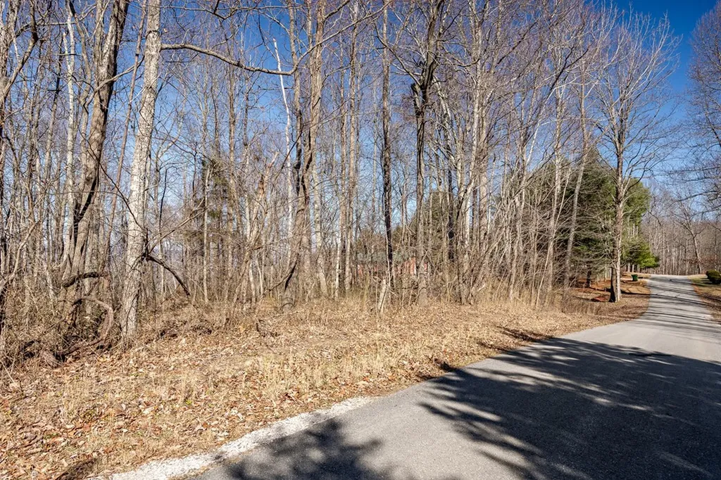 Lot 29 Woodland Trail Sparta TN 38583