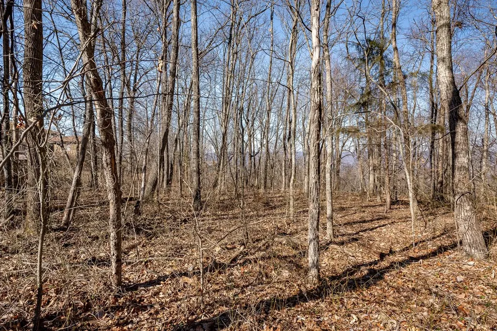 Lot 29 Woodland Trail Sparta TN 38583