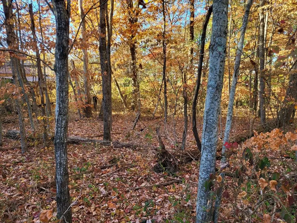 Lot 29 Woodland Trail Sparta TN 38583