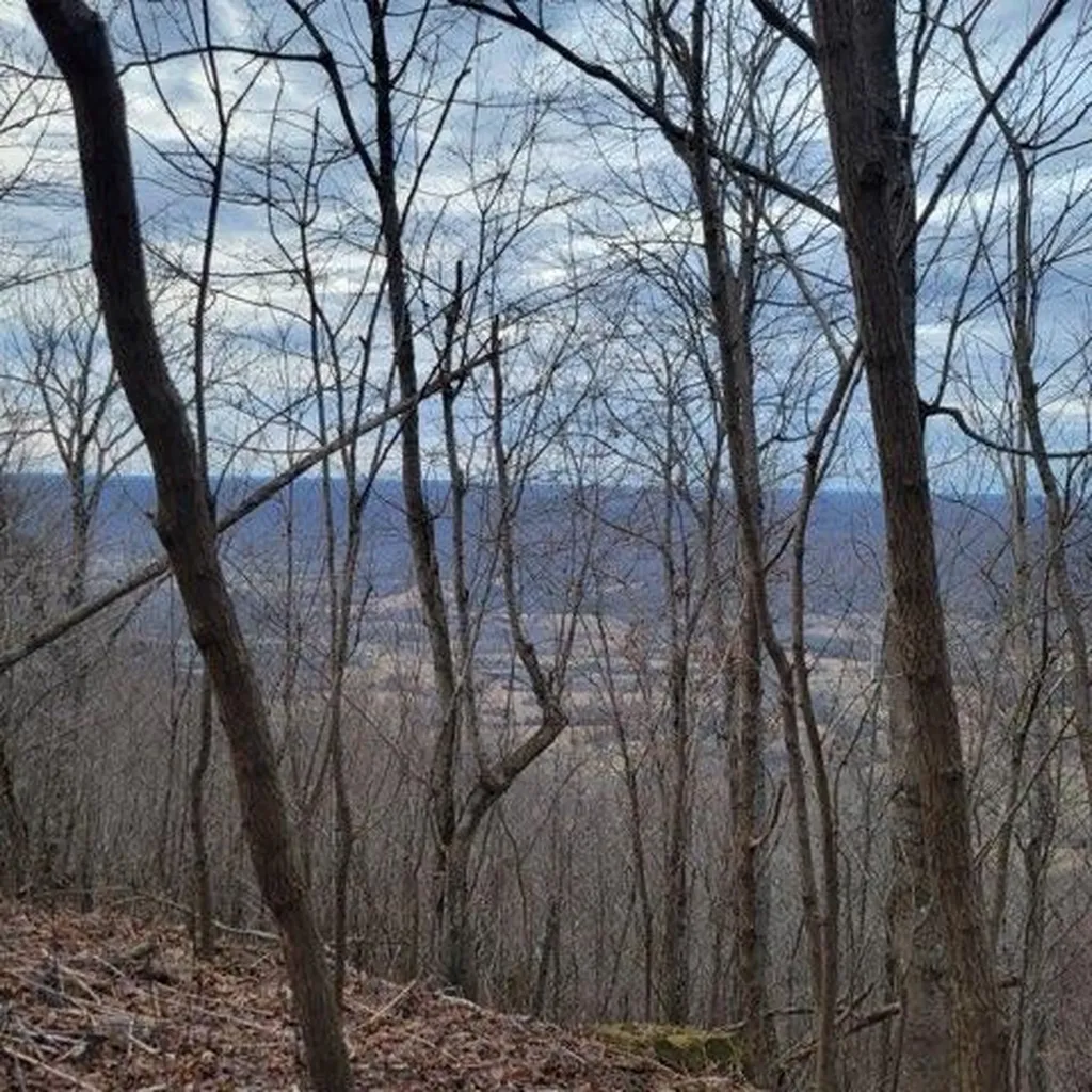 0 Little Bedford Road Spring City TN 37381
