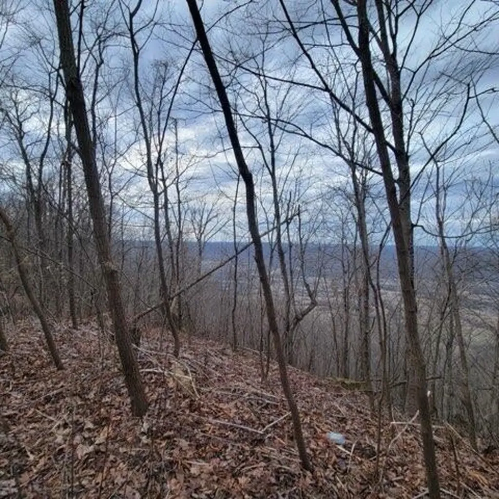 0 Little Bedford Road Spring City TN 37381