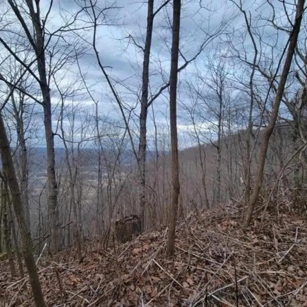 0 Little Bedford Road Spring City TN 37381